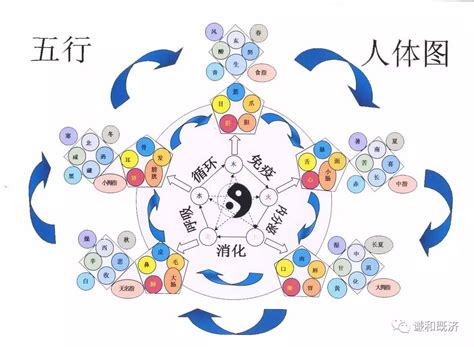 五行健康|中医理论探究：五行与人体健康的关系